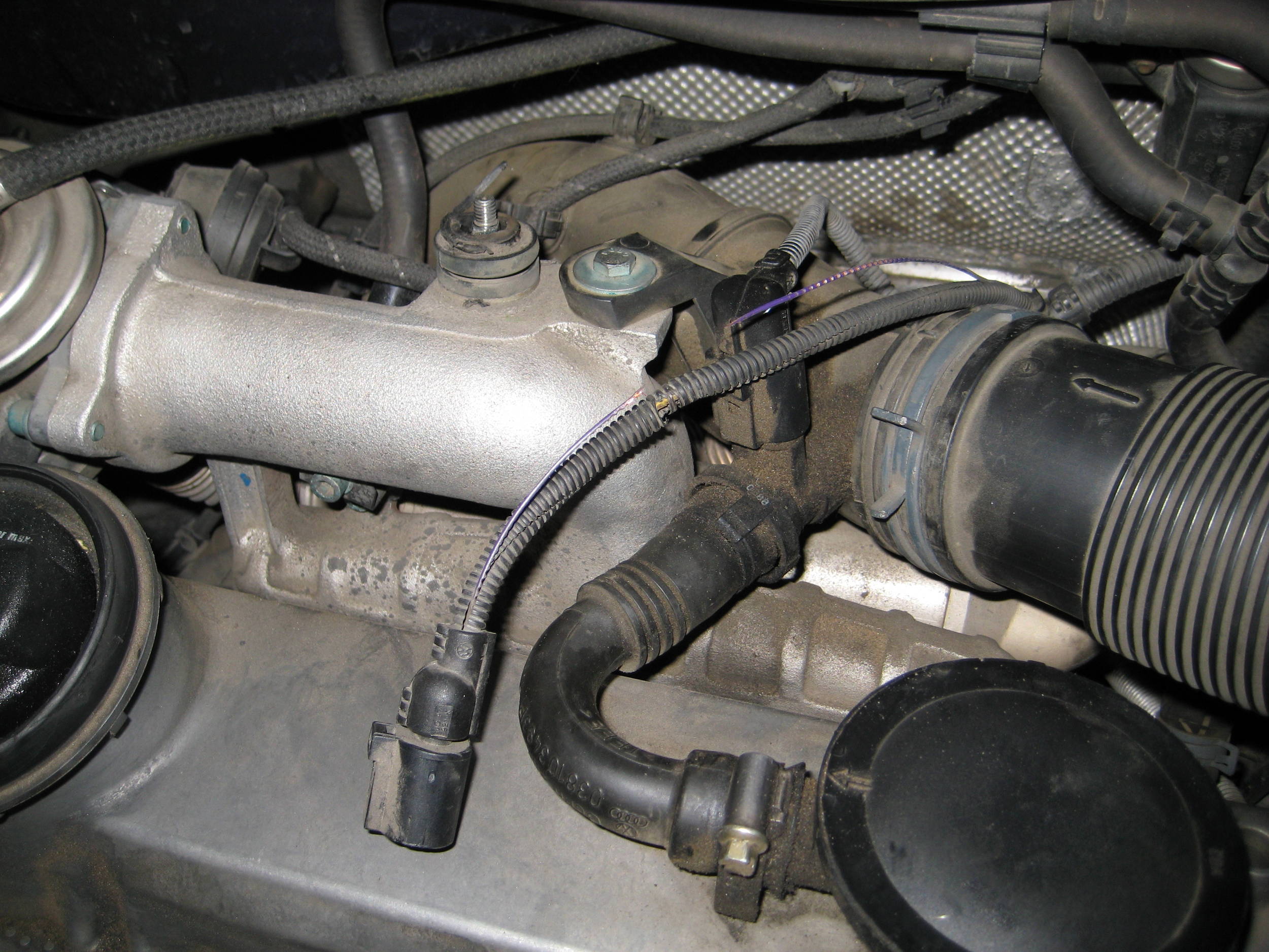 N239 wire worn through fixed Forums