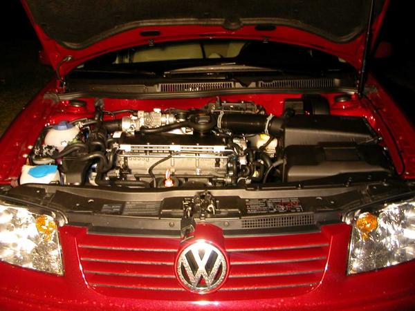 2004 PD engine disrobed pictures | TDIClub Forums